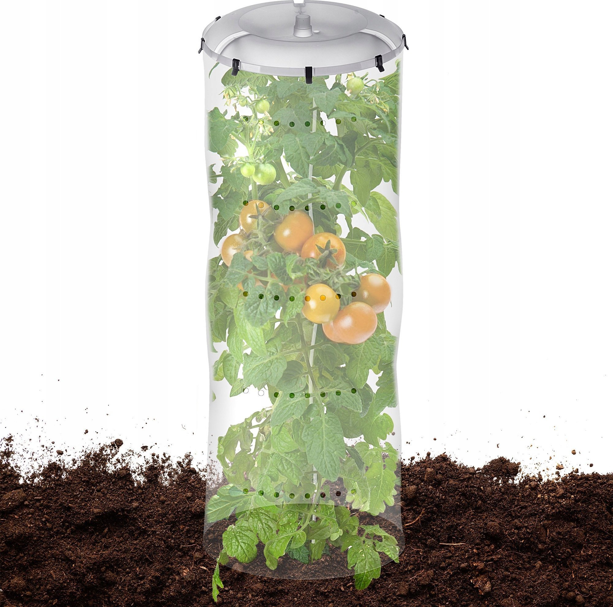 Kadax KADAX Osłonka Parasol Na Pomidory Ochronny Zestaw