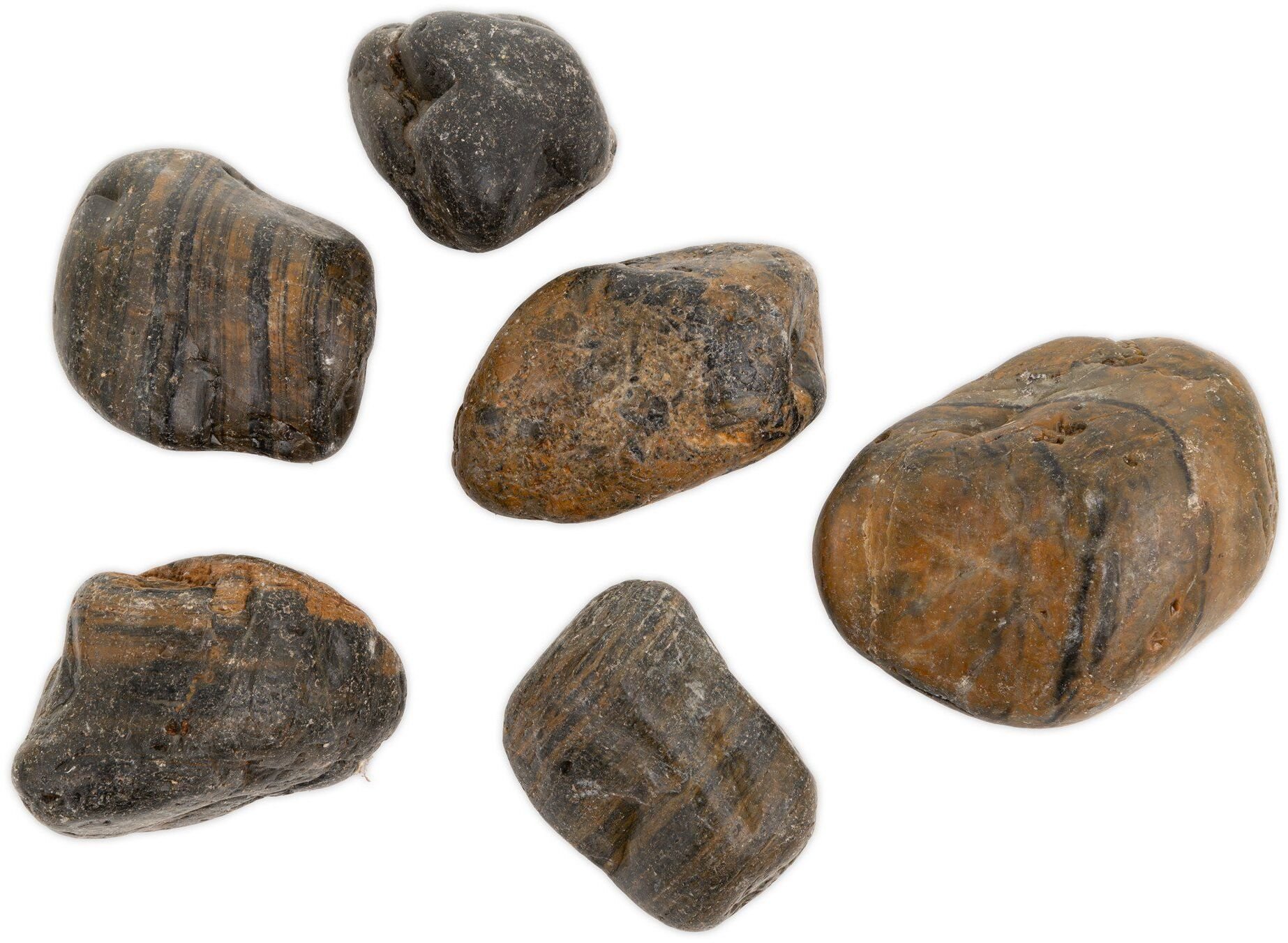 Kamienie polerowane Tiger Pebble 30-50 mm do akwarium terrarium 10 kg/OPAK