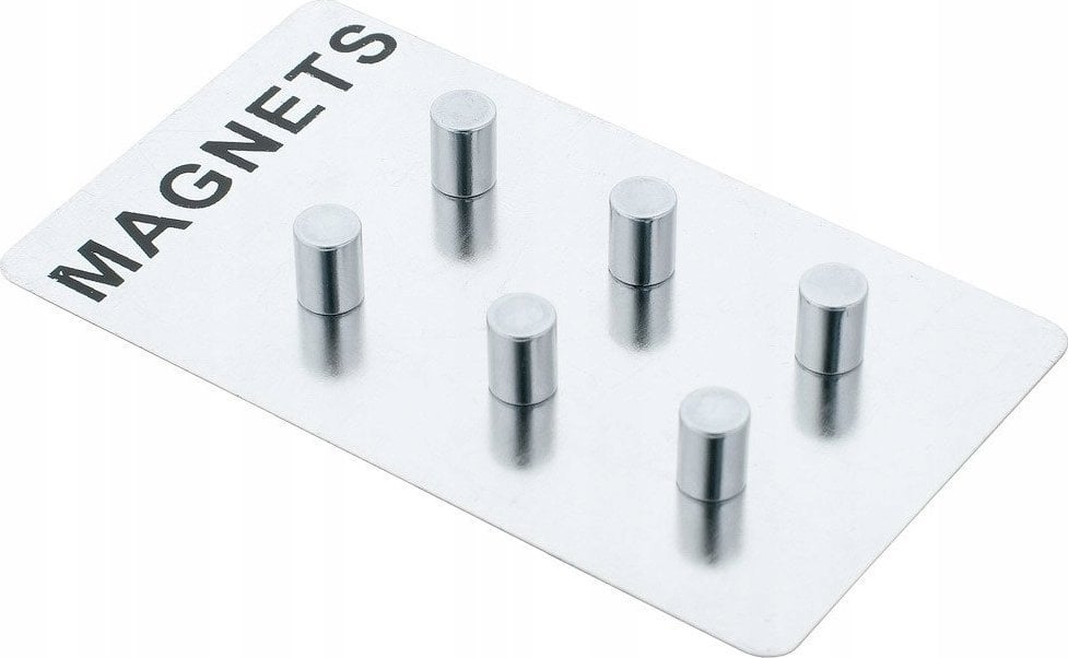 Zeller Magnesy do notatek, stal nierdzewna, 6 sztuk, ZELLER