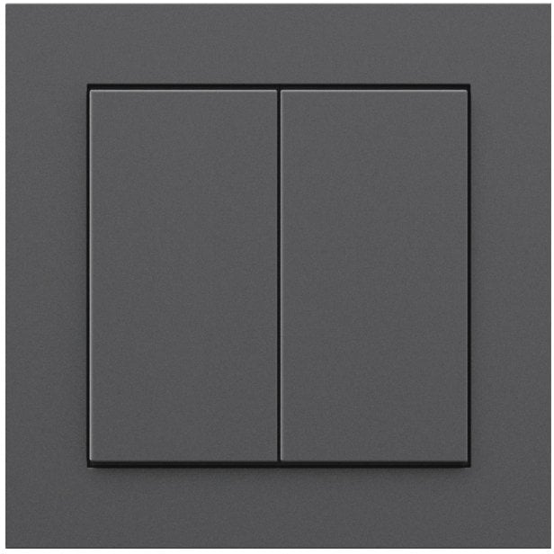 Senic Senic Friends of Hue Smart Switch, switch (anthracite)