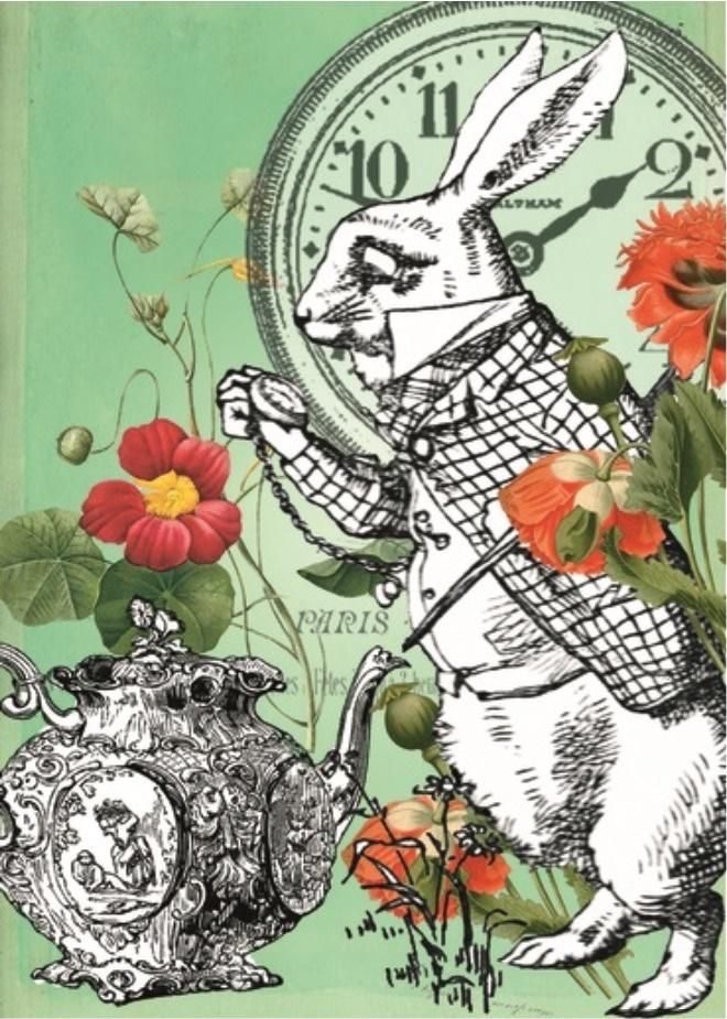 Madame Treacle Karnet B6 z kopertą Alicja w krainie czarów