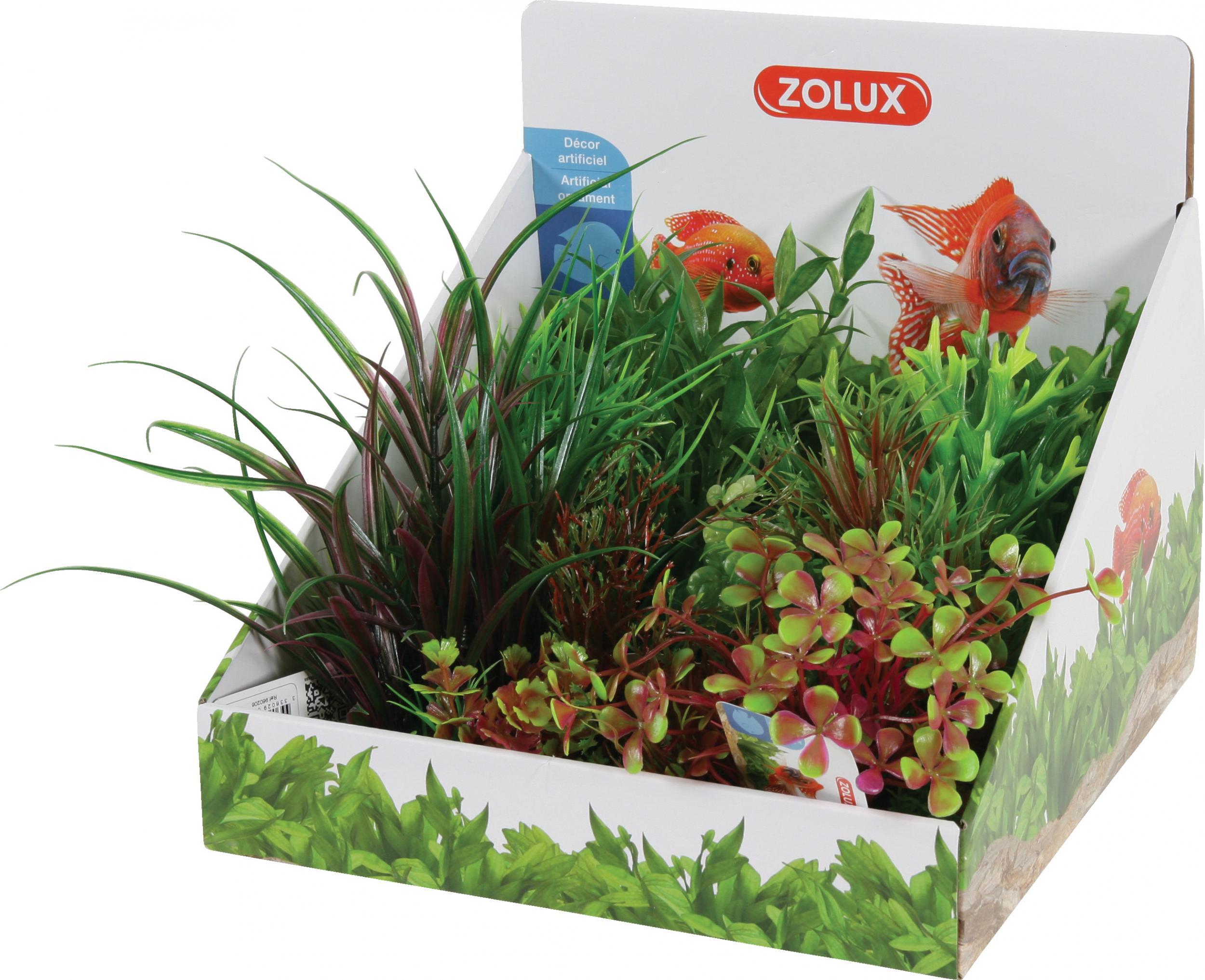 Zolux ZOLUX Display roślin M 6 szt. - zestaw A