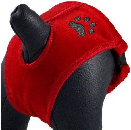 Grande Finale Majtki na cieczkę czerwone Paw rozmiar 3