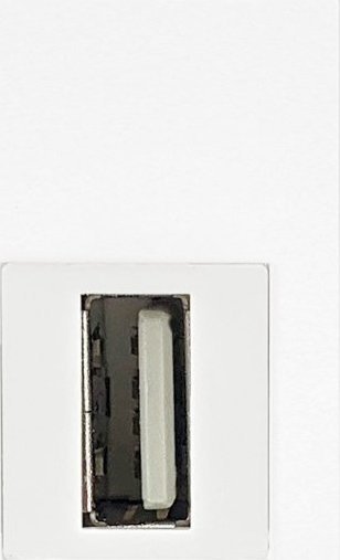 Orno NOEN USB data, gniazdo modułowe 22,5x45mm USB data 2.0, przelotka, białe