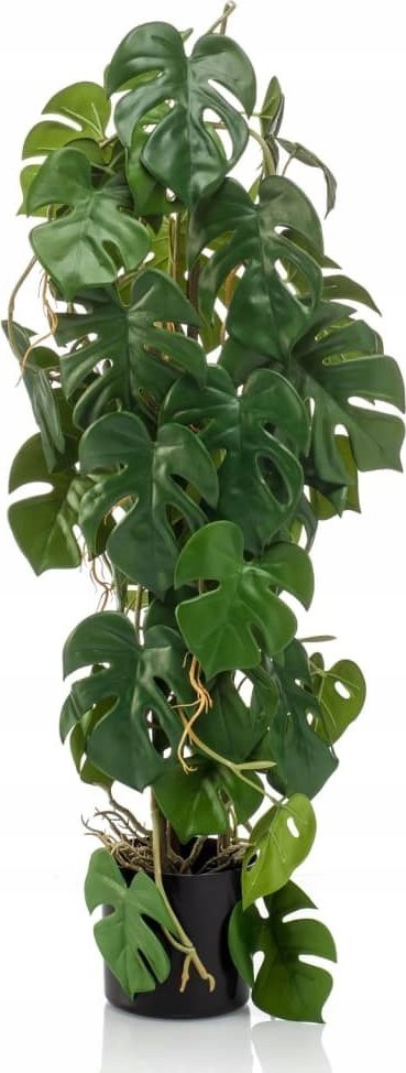 Emerald Sztuczna monstera w doniczce, 75 cm