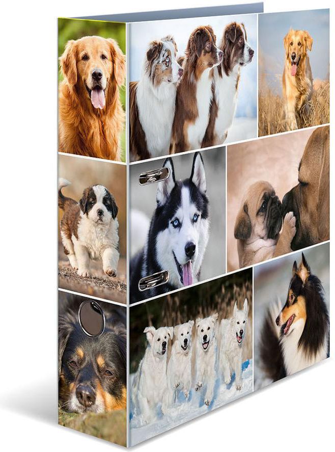 Segregator Herma dźwigniowy A4 70mm (7165)