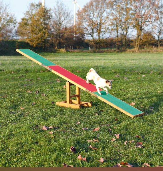 Trixie HUŚTAWKA ZRĘCZNOŚCIOWA DLA PSA