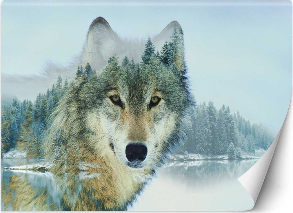 Feeby Fototapeta, Wilk jezioro - 450x315