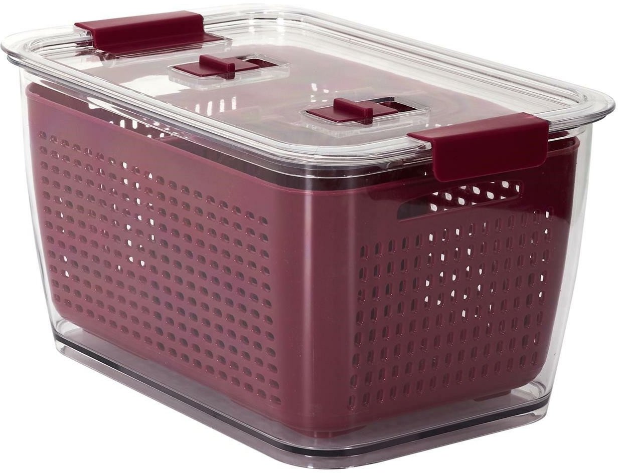 INTESI POJEMNIK DO PRZECHOWYWANIA W LODÓWCE OWOCÓW I WARZYW BORDOWY