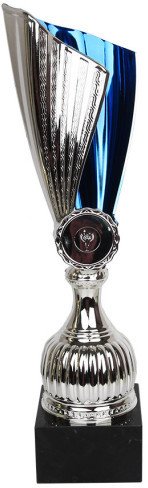 Tryumf Puchar W1830B