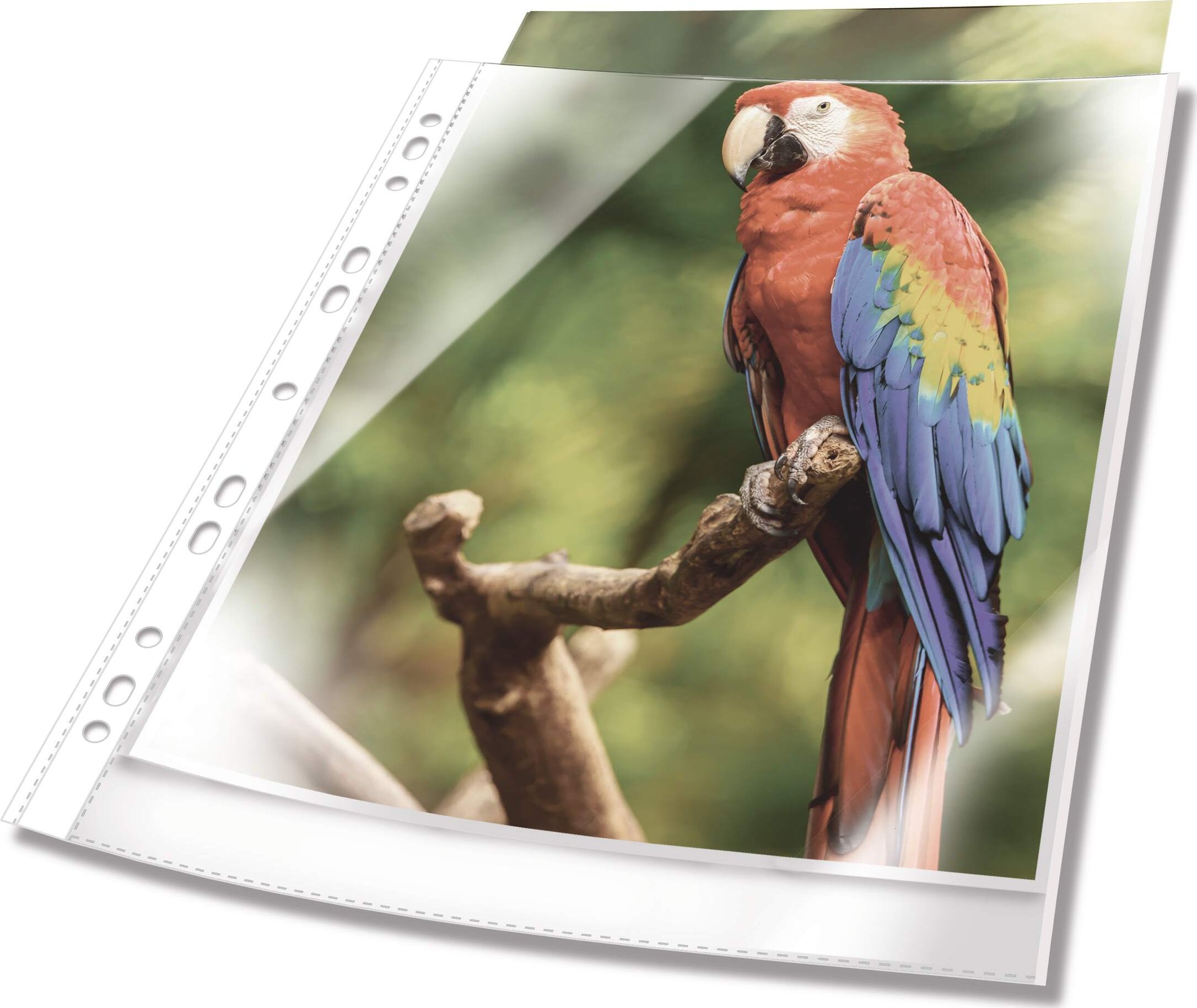 Durable Koszulki na dokumenty A4 otwarte u góry 10 sztuk przezroczysty, biały