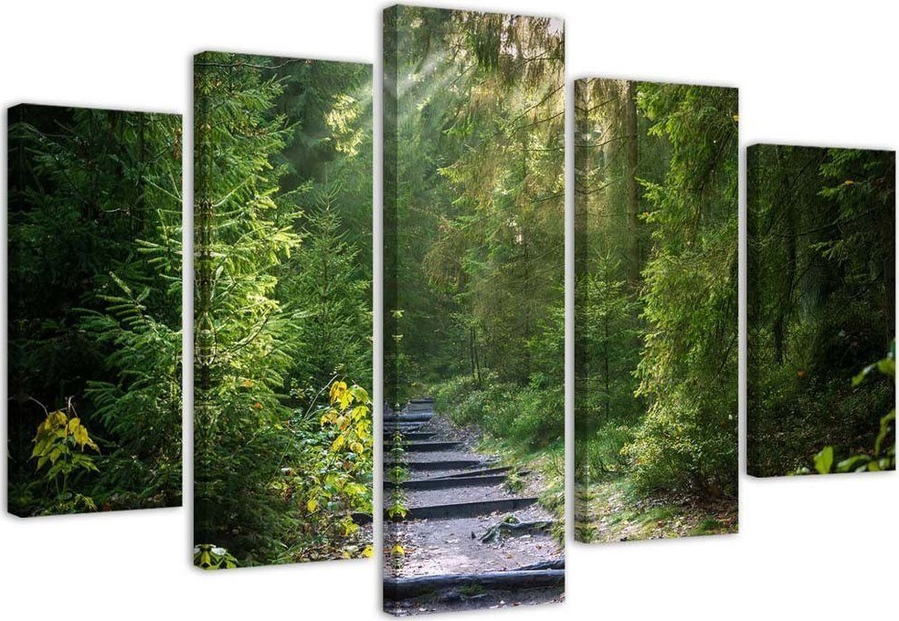 Feeby Obraz pięcioczęściowy na płótnie, Ścieżka w zielonym lesie - 100x70