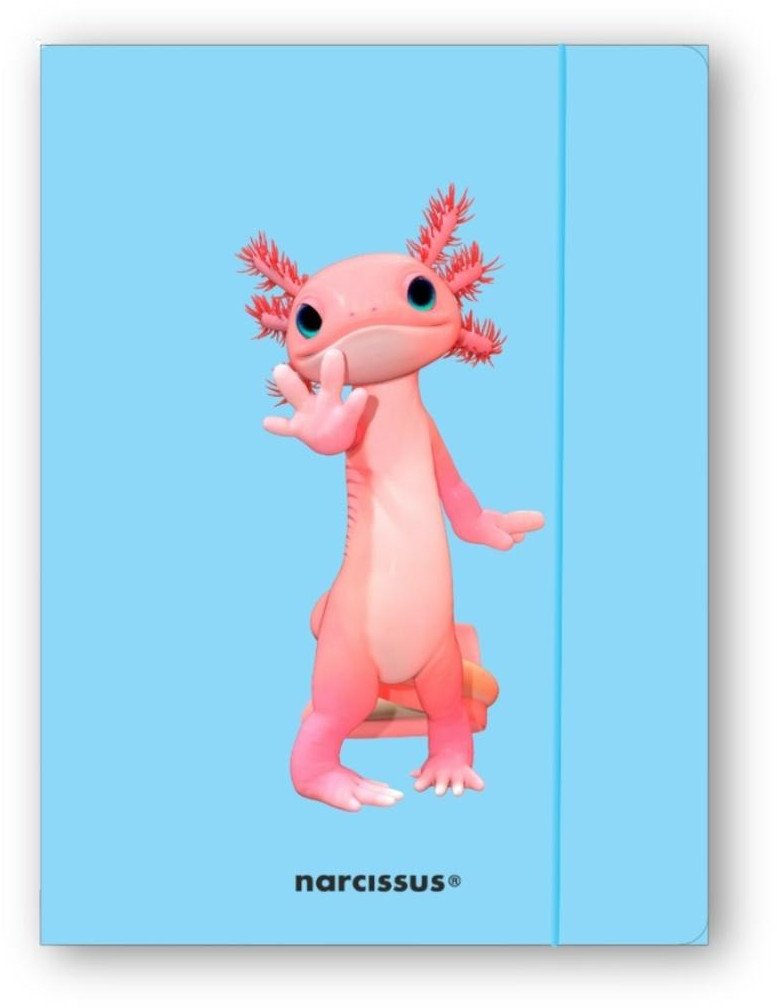 Narcissus Teczka A4+ z gumką Teddies&Aksolotl