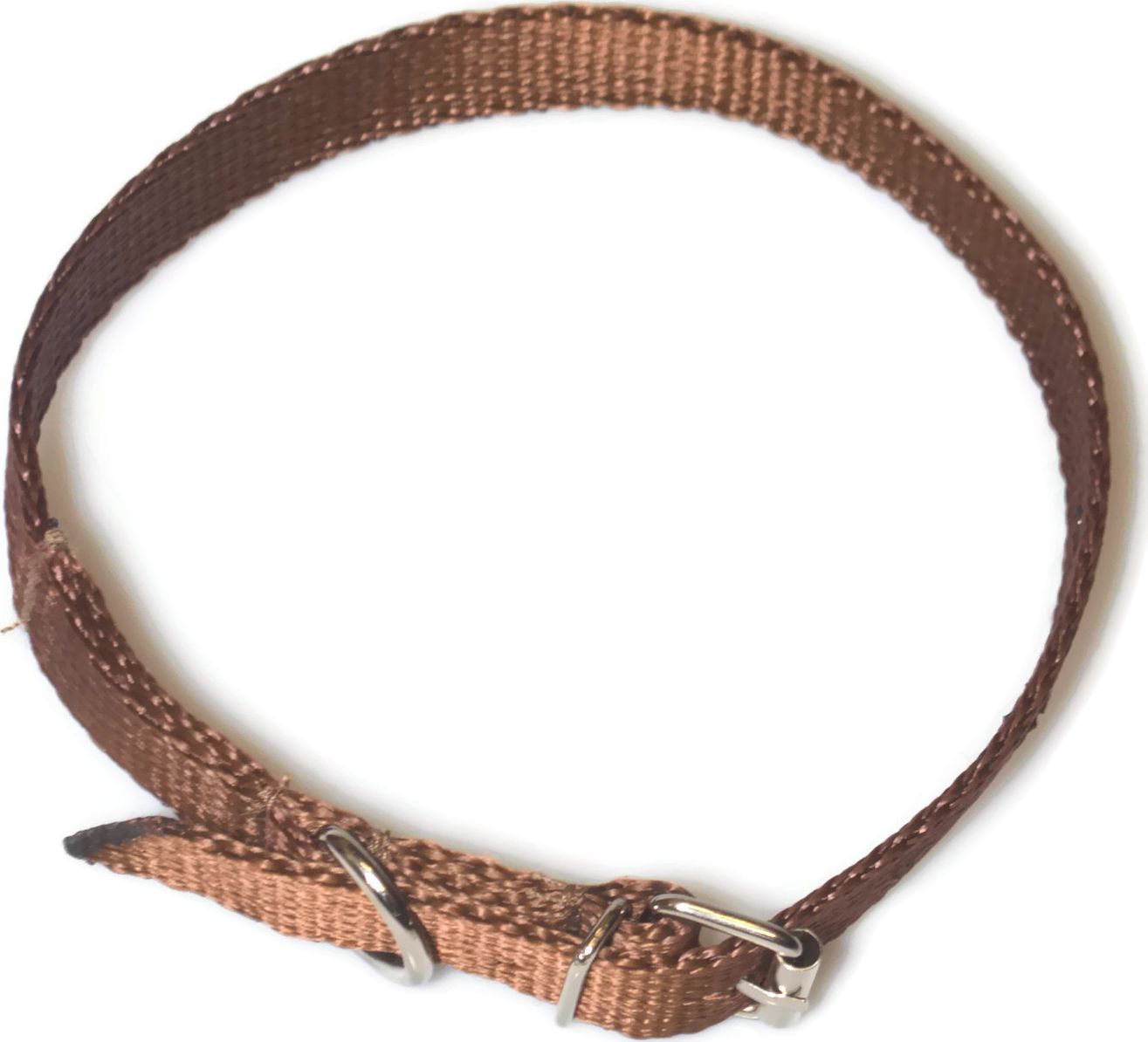 Alizoo Obroża dla średniego psa 16mm/30-41cm z metalową klamerką - ALIZOO