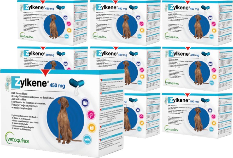 Triton VETOQUINOL Zylkene 450mg Dla Psów Ras Dużych Na Uspokojenie 100tab.