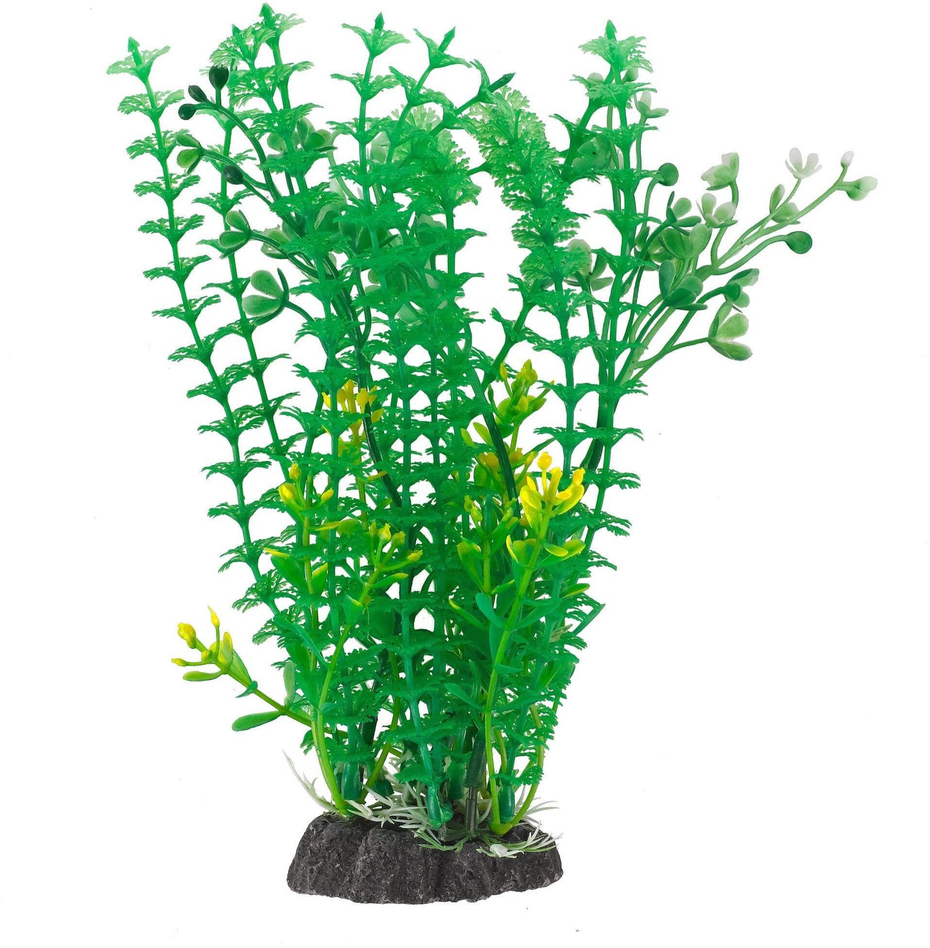 Terra Natura Aqua Natura, roślina, do dekoracji akwarium, zielona, plastikowa, 20 cm, pędy kopru, białe i żółte kwiaty