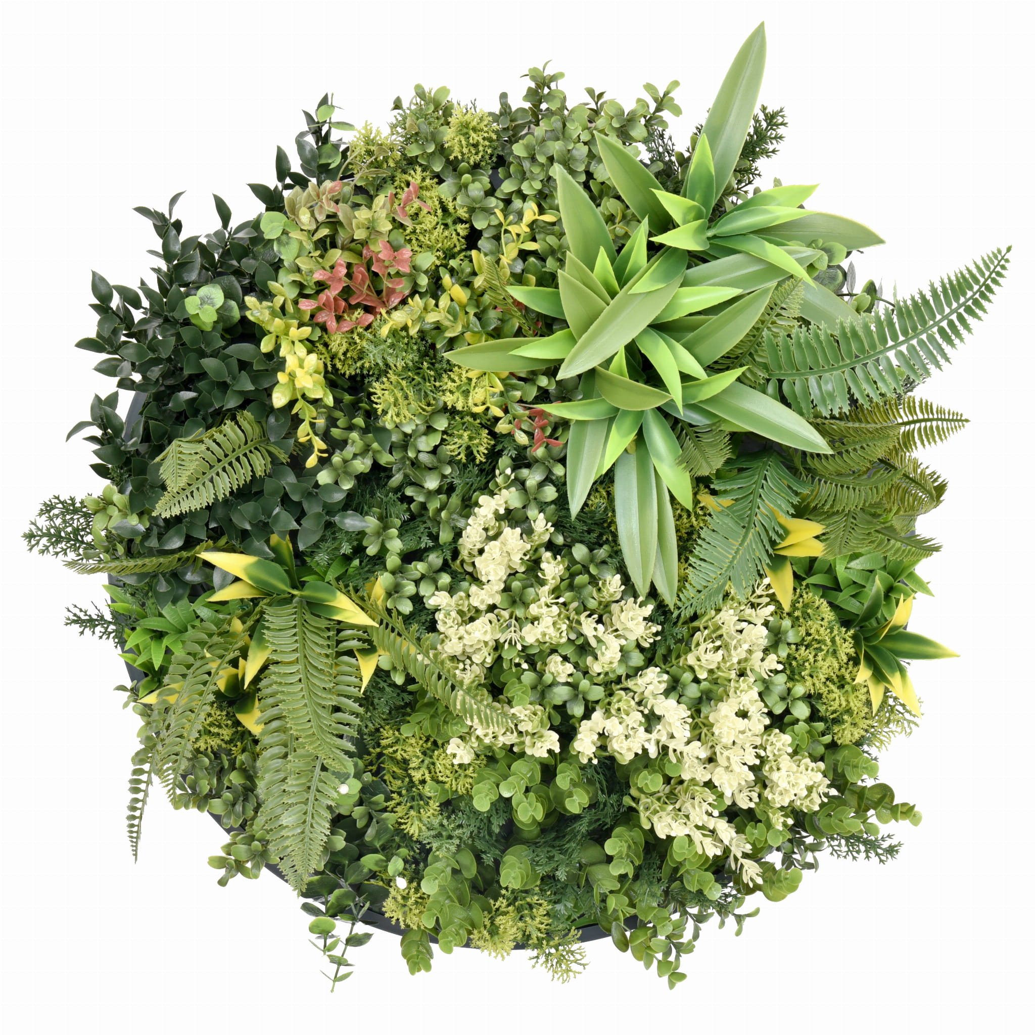 PANEL KOLOROWYCH ROŚLIN HARMONIA I 50 CM