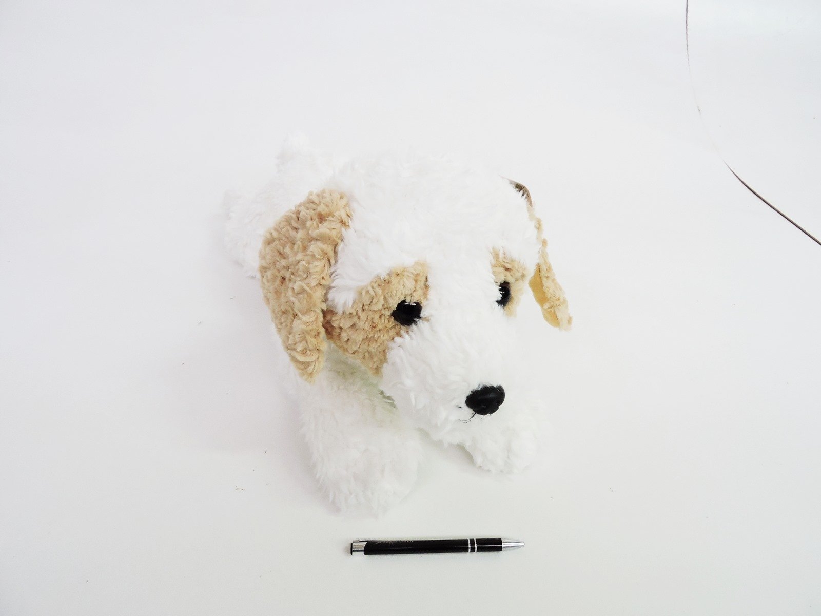 Madej Pies Hawańczyk 60cm leżący 010747 73043