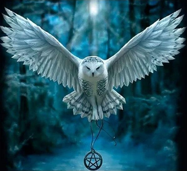 Norimpex Mozaika diamentowa 5D - Sowa 40x30cm