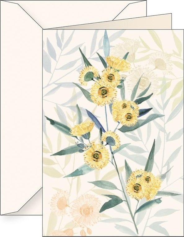 Tassotti Karnet B6 + koperta 6124 Eukaliptus gałkowy