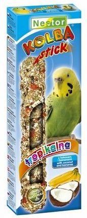 Nestor KOLBA PAPUGA MAŁA OWOCE TROPIKALNE