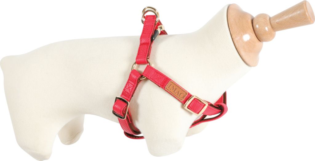 Zolux Szelki IMAO MAYFAIR 25 mm kol. czerwony