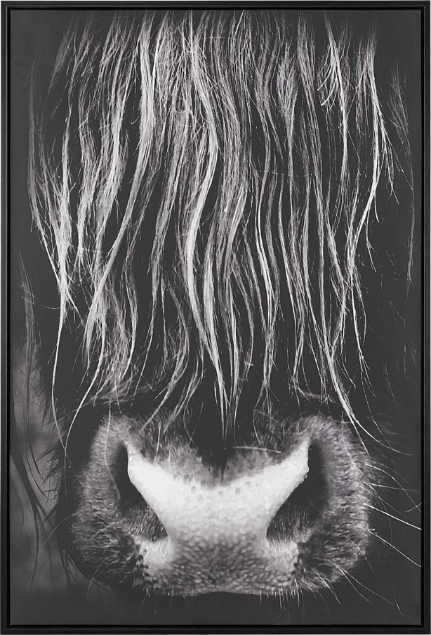 Beliani Obraz na płótnie w ramie 63 x 93 cm czarny GALEATA