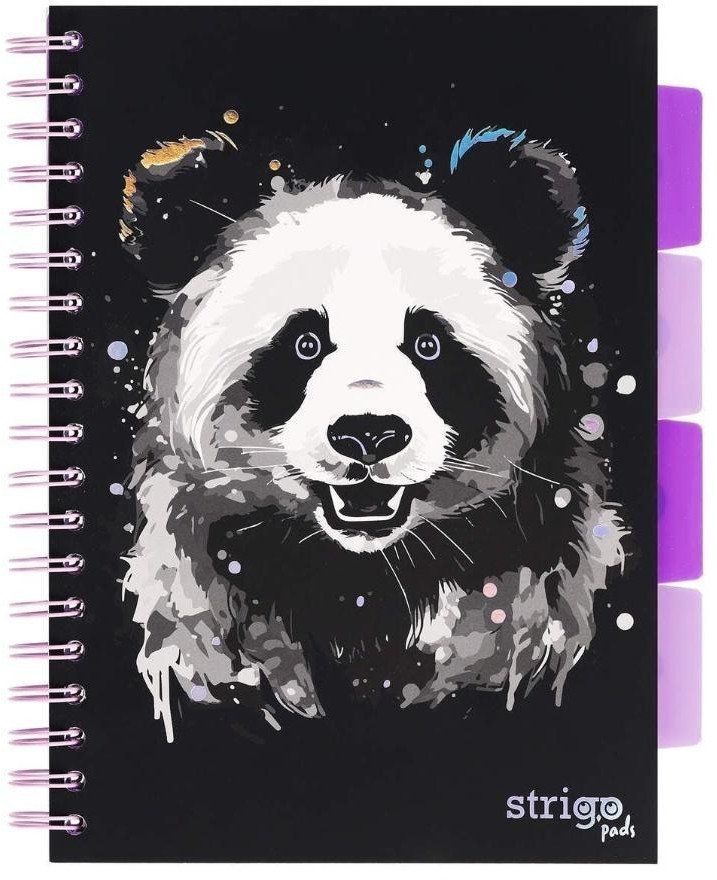 Kołozeszyt Pads B5/100K linia Panda