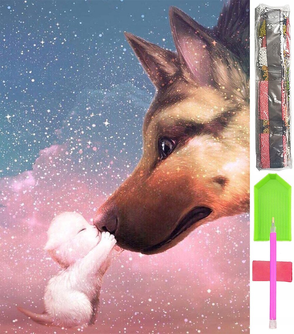 HAFT DIAMENTOWY 5D Zestaw Obraz MOZAIKA 40*60cm