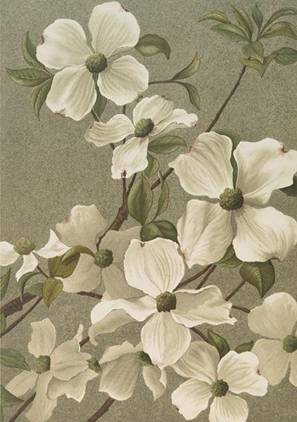 Skona Ting Karnet ST427 B6 + koperta Dereń