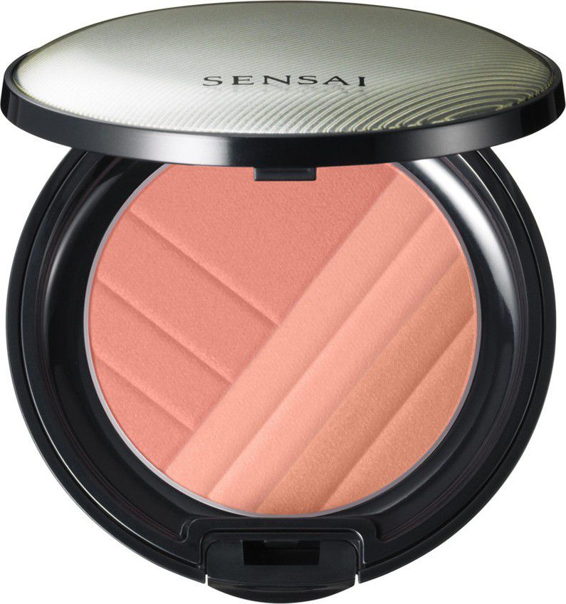 Kanebo SENSAI CHEECK BLUSH CH01 4g