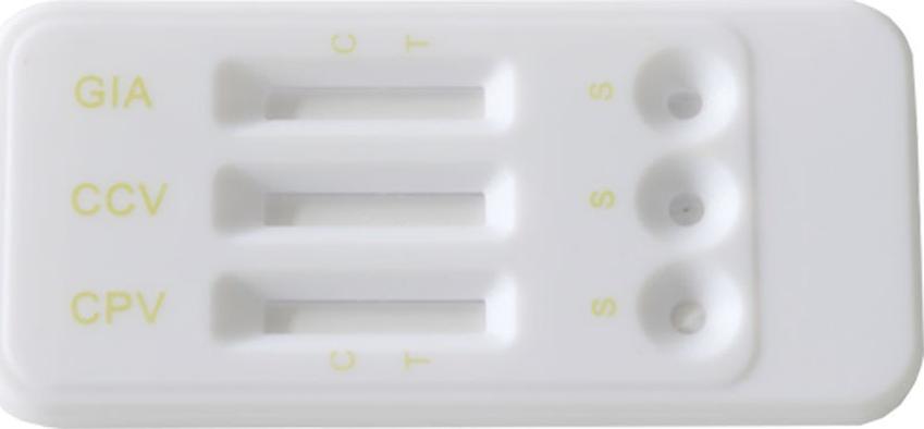 Selflab Szybki test Selflab na choroby układu pokarmowego psów CPV+CCV+Giardia Ag