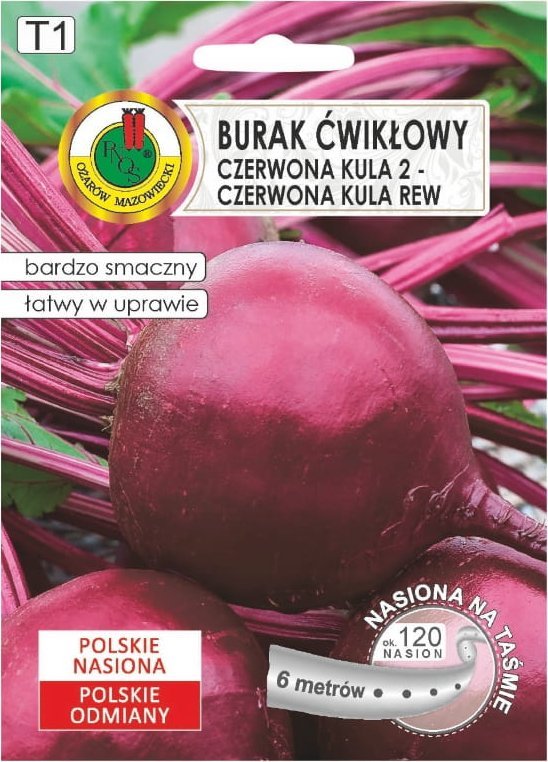Burak ćwikłowy kulisty na taśmie 6m nasiona zbiór letni i jesienny