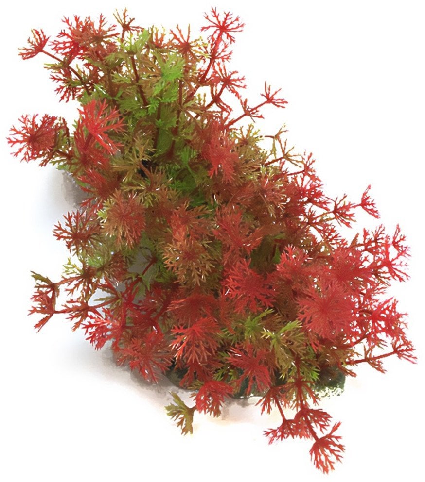 Aqua Natura, ro�lina, do dekoracji akwarium, czerwona, plastikowa, 12-23 cm , bardzo drobne czerwone kwiaty
