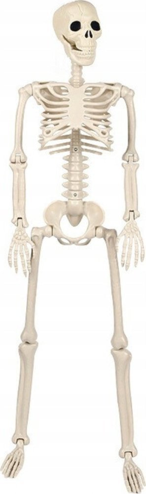 Korbi SZKIELET CZŁOWIEKA SZKIELETOR KOŚCIOTRUP CZASZKA DEKORACJA HALLOWEEN 93CM