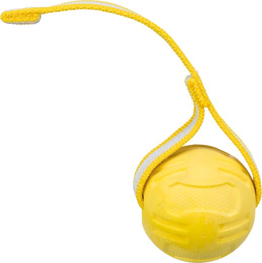 Trixie Piłka Sporting na pasku