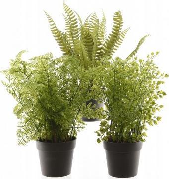 Kaemingk Sztuczna paproć w doniczce fejka 30 cm