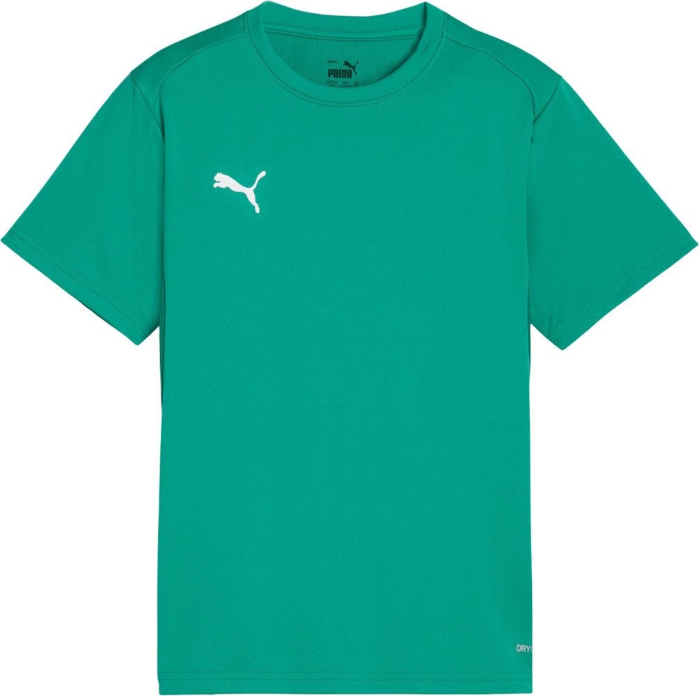 Puma Koszulka dla dzieci TeamGoal Jersey zielony 658637 05 128cm
