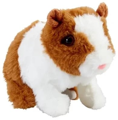 Anness publishing HAPPY PETS Guinea Pig