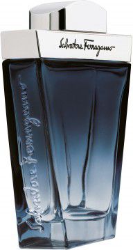 Salvatore Ferragamo Subtil EDT 100 ml