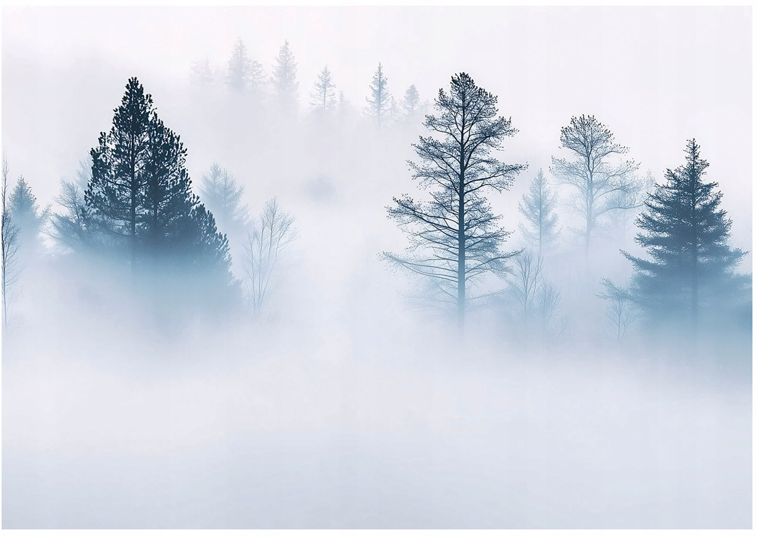 Fototapeta Las We Mgle Drzewo Sypialnia Salon Tapeta Flizelina 400X280