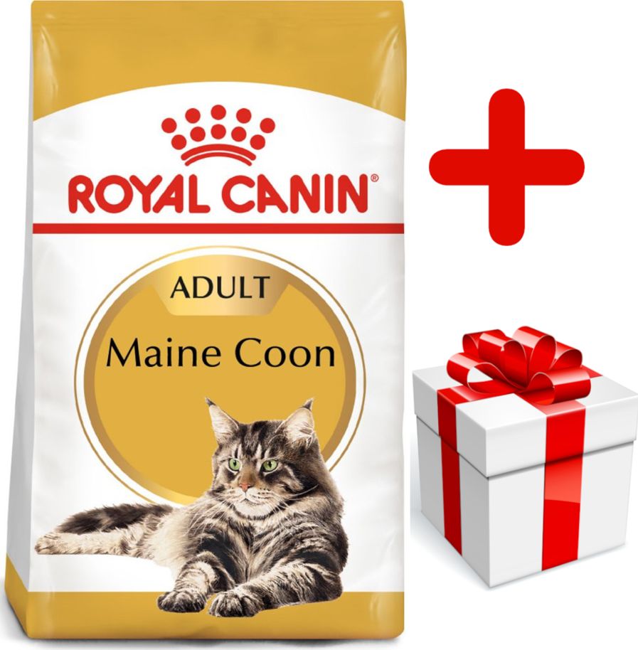 Royal Canin ROYAL CANIN Maine Coon Adult 10kg + niespodzianka dla kota GRATIS!
