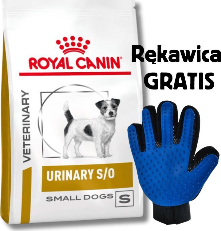 Royal Canin Urinary S/O USD 20 8 kg + Rękawica do czesania