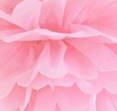 Party Deco Pompon bibułowy, jasnoróżowy, 25 cm uniwersalny