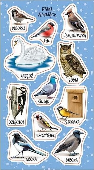 Naklejki Ptaki zimujące w Polsce