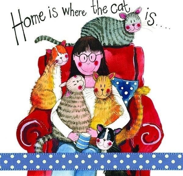 Karnet S180 Tam dom Twój gdzie kot Twój