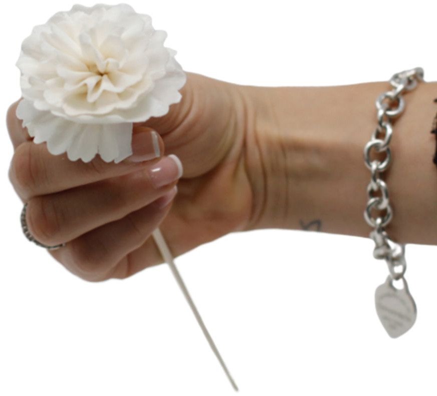 Naturalny dyfuzor kwiatowy - Goździk na trzcinie