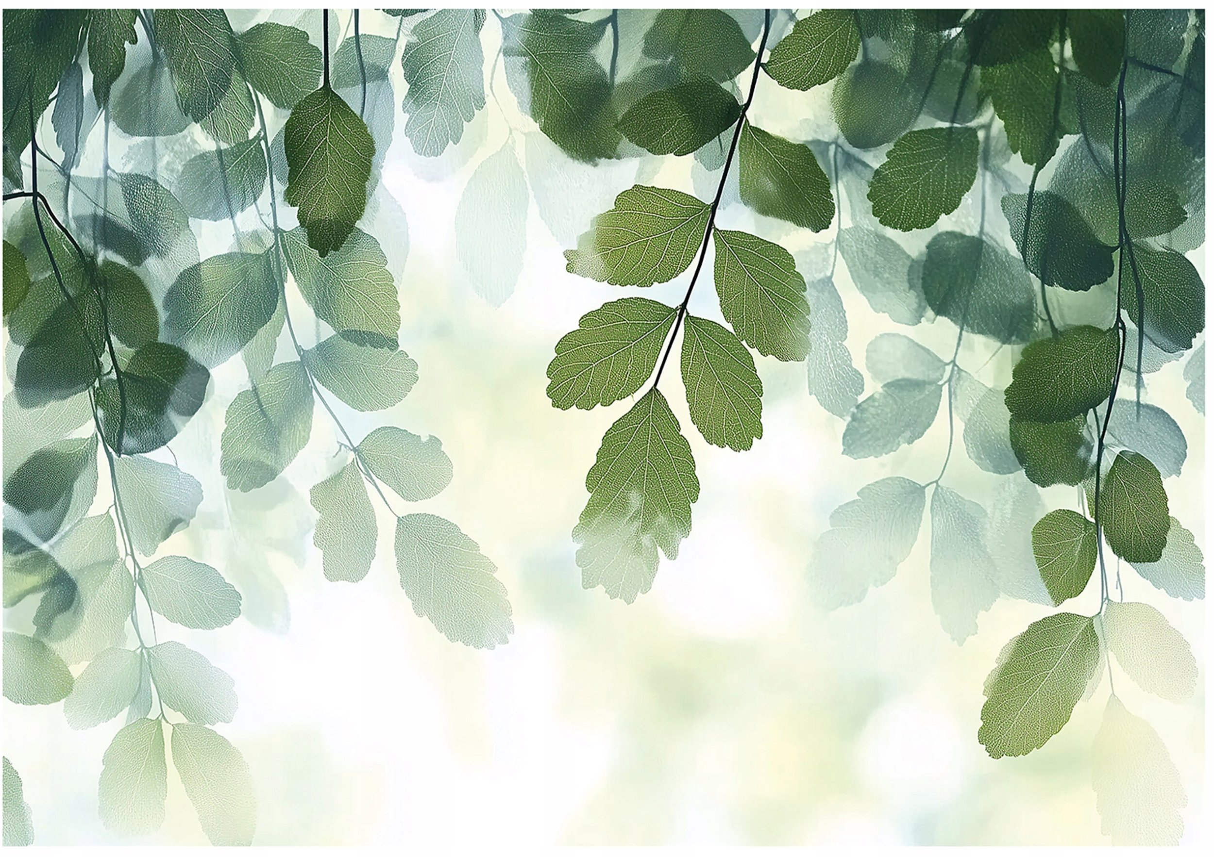 Fototapeta Liście Zielony Natura Sypialnia Salon Tapeta Flizelina 350X250