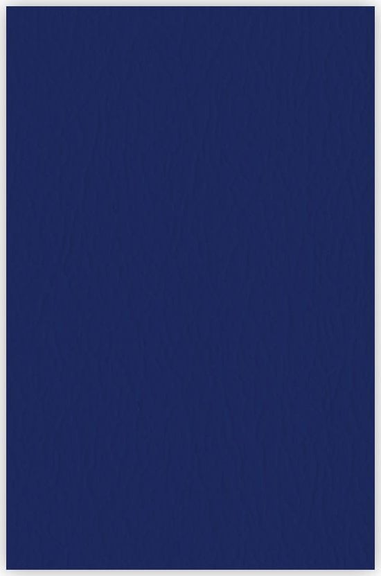 Argo Karton do bindowania skóropodobny A4 ARGO DELTA 407065 granatowy 25 szt