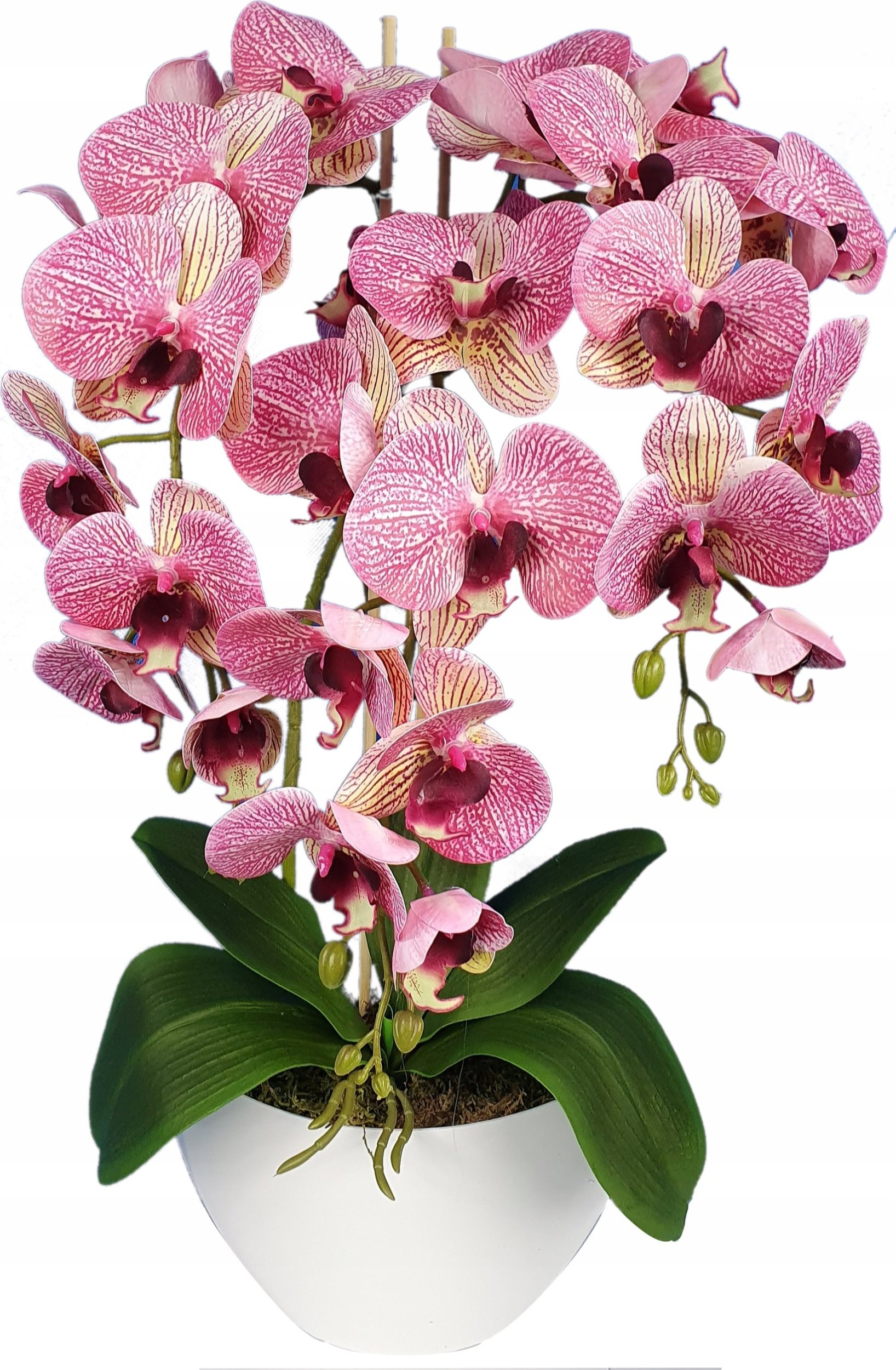 Storczyk sztuczny, kwiaty orchidea 3P, guma,